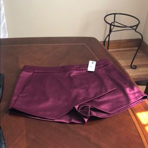 Express shorts tags sill on price 60.00 size 8